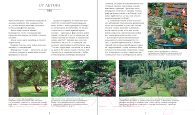 Книга Эксмо Азбука садового участка. Ландшафтный дизайн для начинающих (Кизима Г.)