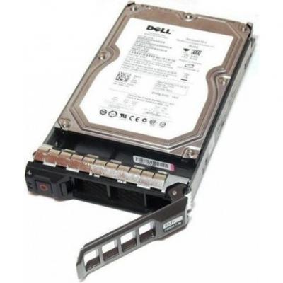 Жесткий диск Dell 400-24986 - общий вид