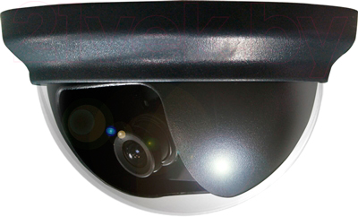 IP-камера AVTech AVC152 - общий вид