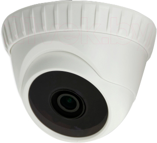 IP-камера AVTech AVC153 - общий вид