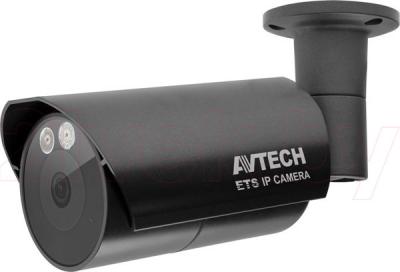 IP-камера AVTech AVM358C - общий вид