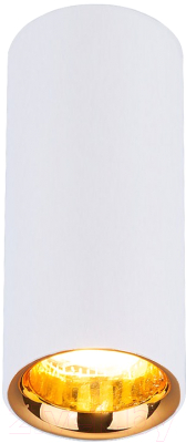 Точечный светильник Elektrostandard DLR030 12W 4200K (белый матовый/золото)