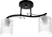Потолочный светильник Aitin-Pro НПБ 02-2x60-101 / XA1161/2 (черный/хром) - 