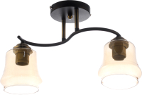 Потолочный светильник Aitin-Pro НПБ 02-2x60-101 / XA1218B/2 (черный/бронза) - 