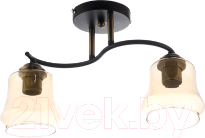 Потолочный светильник Aitin-Pro НПБ 02-2x60-101 / XA1218B/2 (черный/бронза)