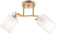 Потолочный светильник Aitin-Pro НПБ 02-2x60-101 / XA1260/2 (золото) - 