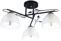 

Люстра Aitin-Pro, НПБ 02-3x60-101 / DA5058/3B