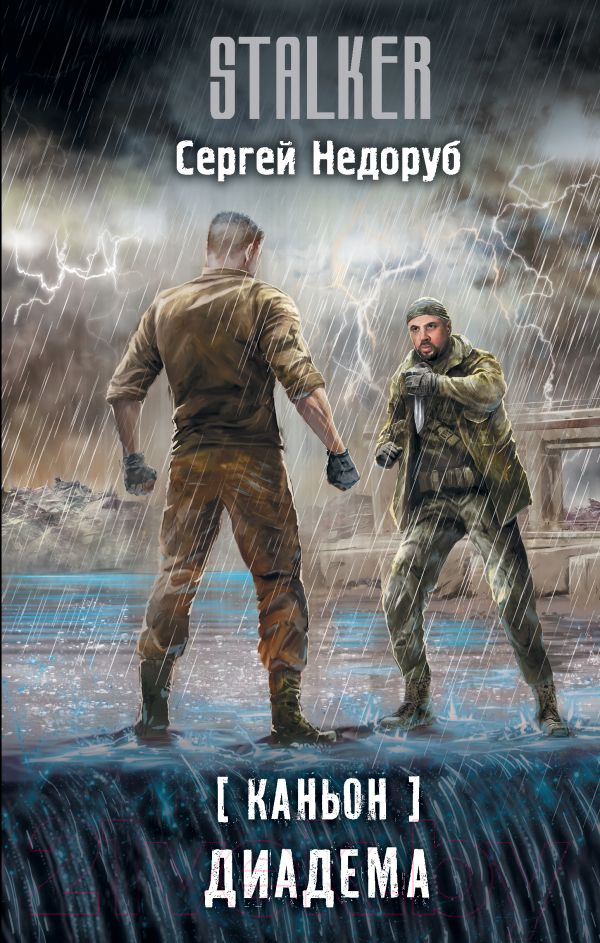 Художественная книга АСТ Каньон. Диадема (Недоруб С.) — фото 1