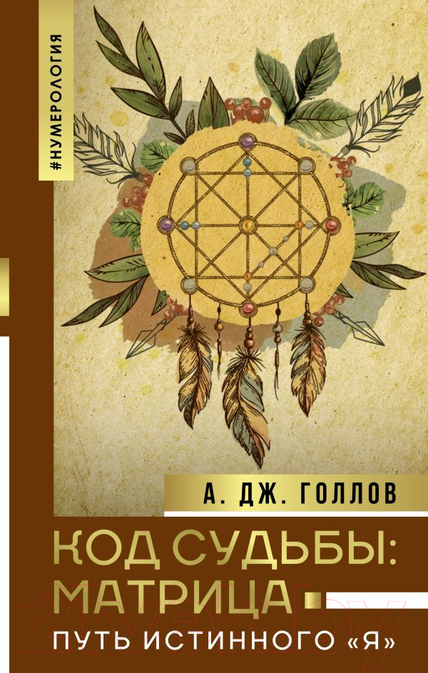 Нехудожественная книга АСТ Код Судьбы: матрица. Путь истинного Я (Голлов А.)