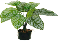 Искусственное растение Koopman 80-392343 - 