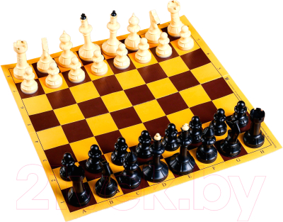 Шахматы Sima-Land Русские игры 3091518