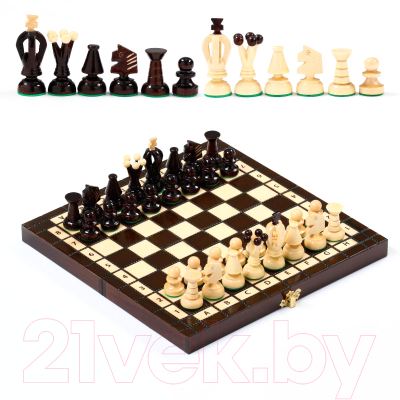Шахматы Sima-Land Королевские 4963443
