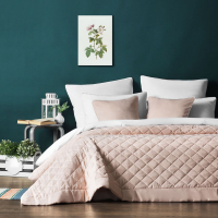 Набор текстиля для спальни Pasionaria Ким 160x220 с наволочками (бледно-розовый) - 