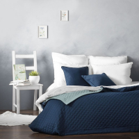 Набор текстиля для спальни Pasionaria Каспиан 160x220 с наволочками (синий) - 