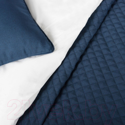 Набор текстиля для спальни Pasionaria Каспиан 160x220 с наволочками (синий)