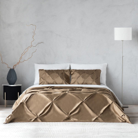 Набор текстиля для спальни Pasionaria Бонни 230x250 с наволочками (коричневый) - 
