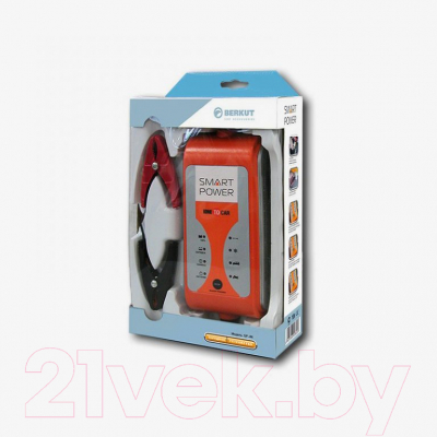Изображение товара Зарядное устройство для аккумулятора Беркут Smart Power SP-4N (12В, 4А, 9 стадий)