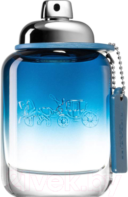 Туалетная вода Coach New York New York Coach Blue (60мл)