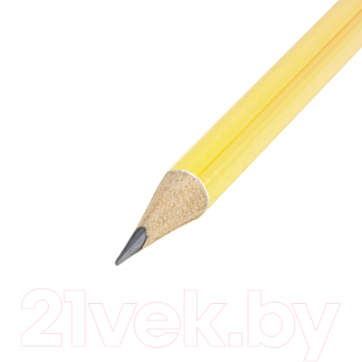 Набор простых карандашей Brauberg Soft Pastel / 880759 (72шт)