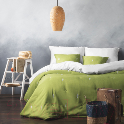 Набор текстиля для спальни Pasionaria Флэш 160x220 с наволочками (зеленый)