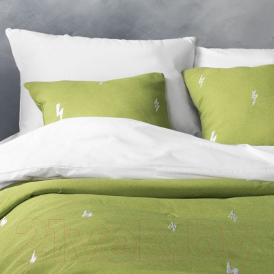 Набор текстиля для спальни Pasionaria Флэш 160x220 с наволочками (зеленый)