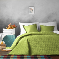 Набор текстиля для спальни Pasionaria Ибица 160x220 с наволочками (зеленый) - 