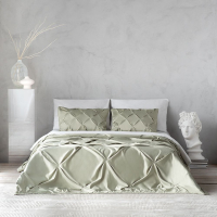 Набор текстиля для спальни Pasionaria Бонни 230x250 с наволочками (салатовый) - 