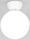 Потолочный светильник Евросвет 30197/1 (белый) - 