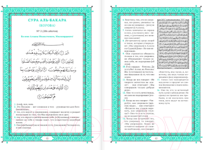 Книга АСТ Коран. Прочтение смыслов (2023)