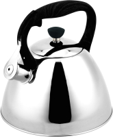 Чайник со свистком Rainstahl RS-7694-35 (металлик/черный) - 