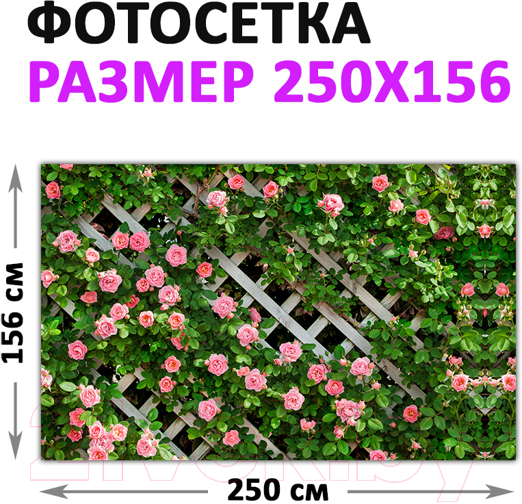 Фотофасад Arthata Розы / FotoSetka-250-78