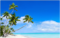 Фотофасад Arthata Пляж, пальмы, море / FotoSetka-250-111 (250x156) - 