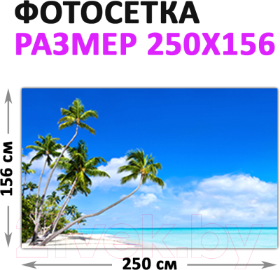 Фотофасад Arthata Пляж, пальмы, море / FotoSetka-250-111 (250x156)