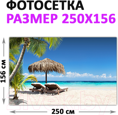 Фотофасад Arthata Пляж, пальмы, море / FotoSetka-250-115 (250x156)