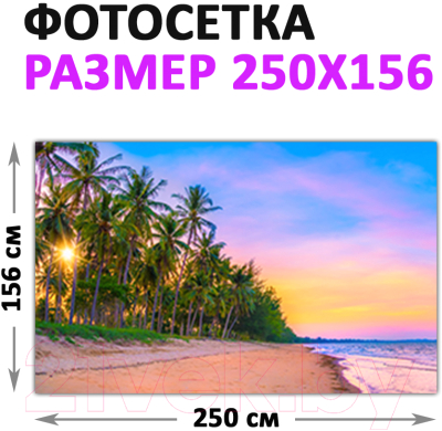 Фотофасад Arthata Пляж, пальмы, море / FotoSetka-250-116 (250x156)
