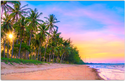 Фотофасад Arthata Пляж, пальмы, море / FotoSetka-250-116 (250x156)