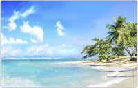 Фотофасад Arthata Пляж, пальмы, море / FotoSetka-250-120 (250x156) - 