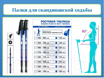 Палки для скандинавской ходьбы Gold Cup 35ST (синий)