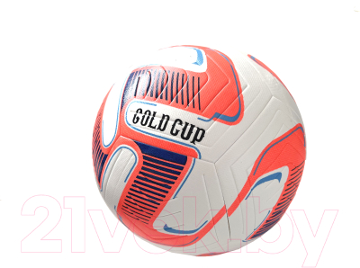 Футбольный мяч Gold Cup Nord (белый/оранжевый)