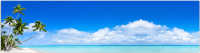 Фотофасад Arthata Пляж, пальмы, море / FotoSetka-600-111 (600x156) - 