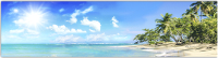Фотофасад Arthata Пляж, пальмы, море / FotoSetka-600-120 (600x156) - 