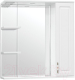 Шкаф с зеркалом для ванной Style Line Олеандр-2 75 (с подсветкой) - 