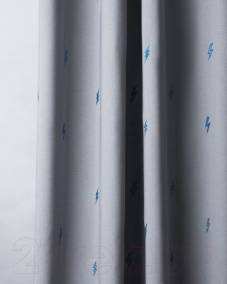 Комплект штор Pasionaria Флэш 290x270 с подхватами (серый)