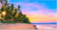 Фотофасад Arthata Пляж, пальмы, море / FotoSetka-300-116 (300x156) - 