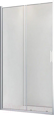 Душевая дверь Veconi 100x185 / VN46-100-02-19C1 (стекло матовое/хром)