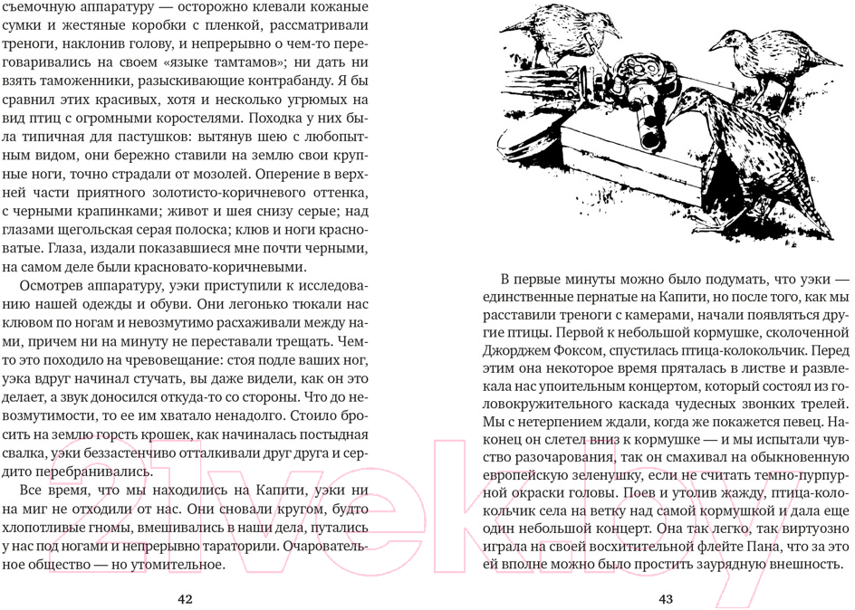 Художественная книга Азбука Путь кенгуренка. Поймайте мне колобуса (Даррелл Дж.) — фото 2