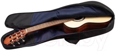 Чехол для гитары Flight FBG-6055