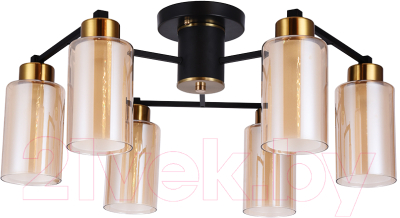 Люстра Arte Lamp Leo A7027PL-6BK