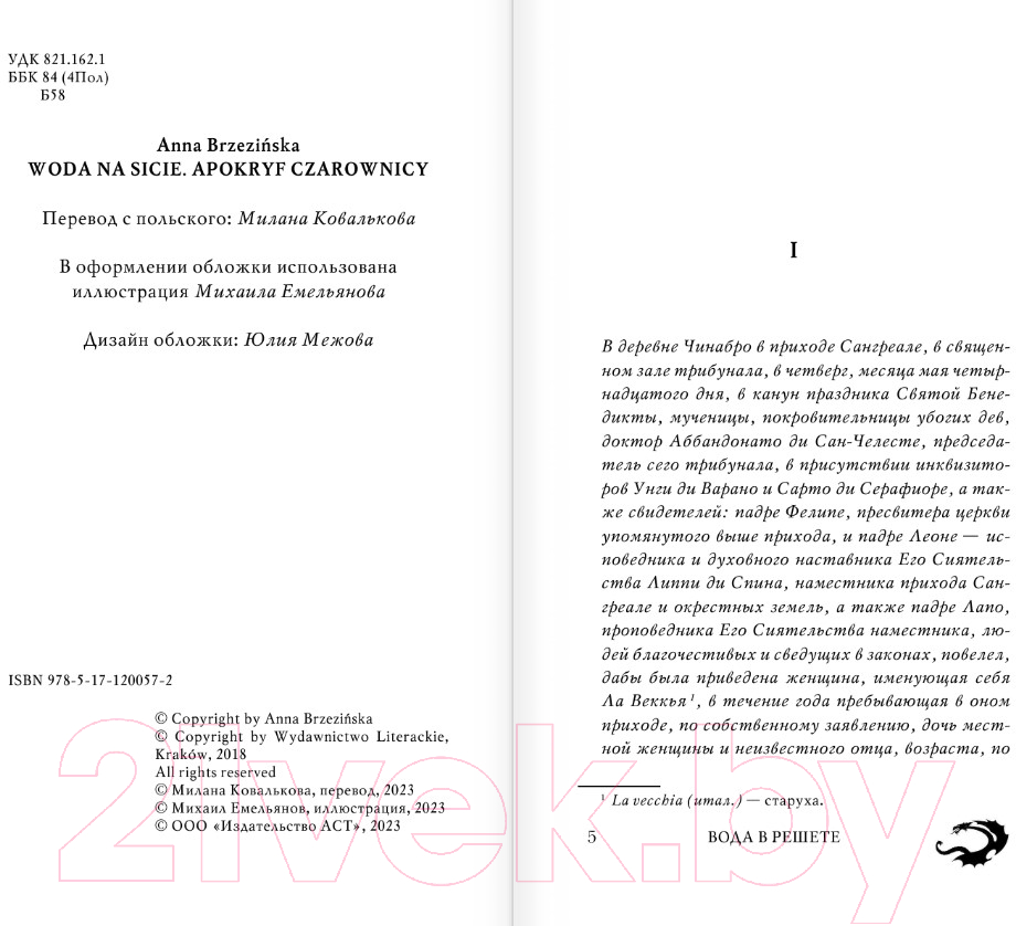 Художественная книга АСТ Вода в решете. Апокриф колдуньи (Бжезинская А.) — фото 4