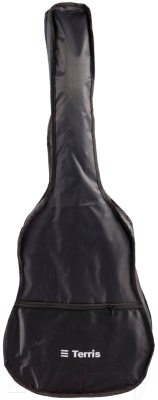 Акустическая гитара Terris TC-038 BK Starter Pack + комплект аксессуаров